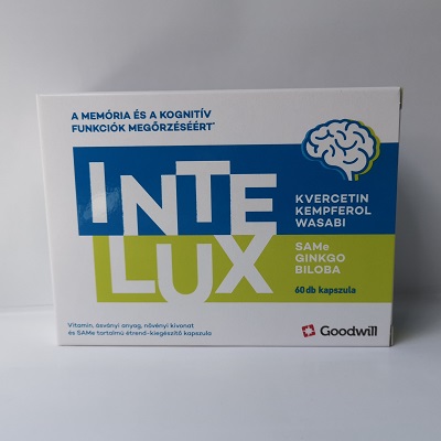 GOODWILL INTELUX.jpg